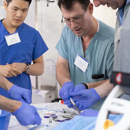 Four fellows practice surgical procedure on mannequin in lab